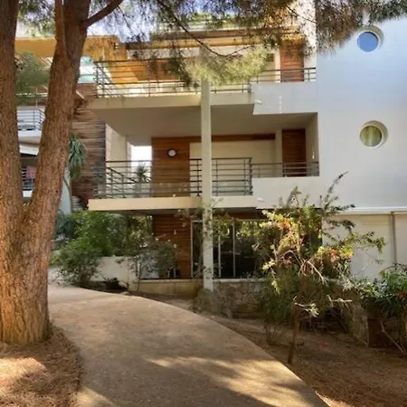 Maria Stella Centre De Calvi